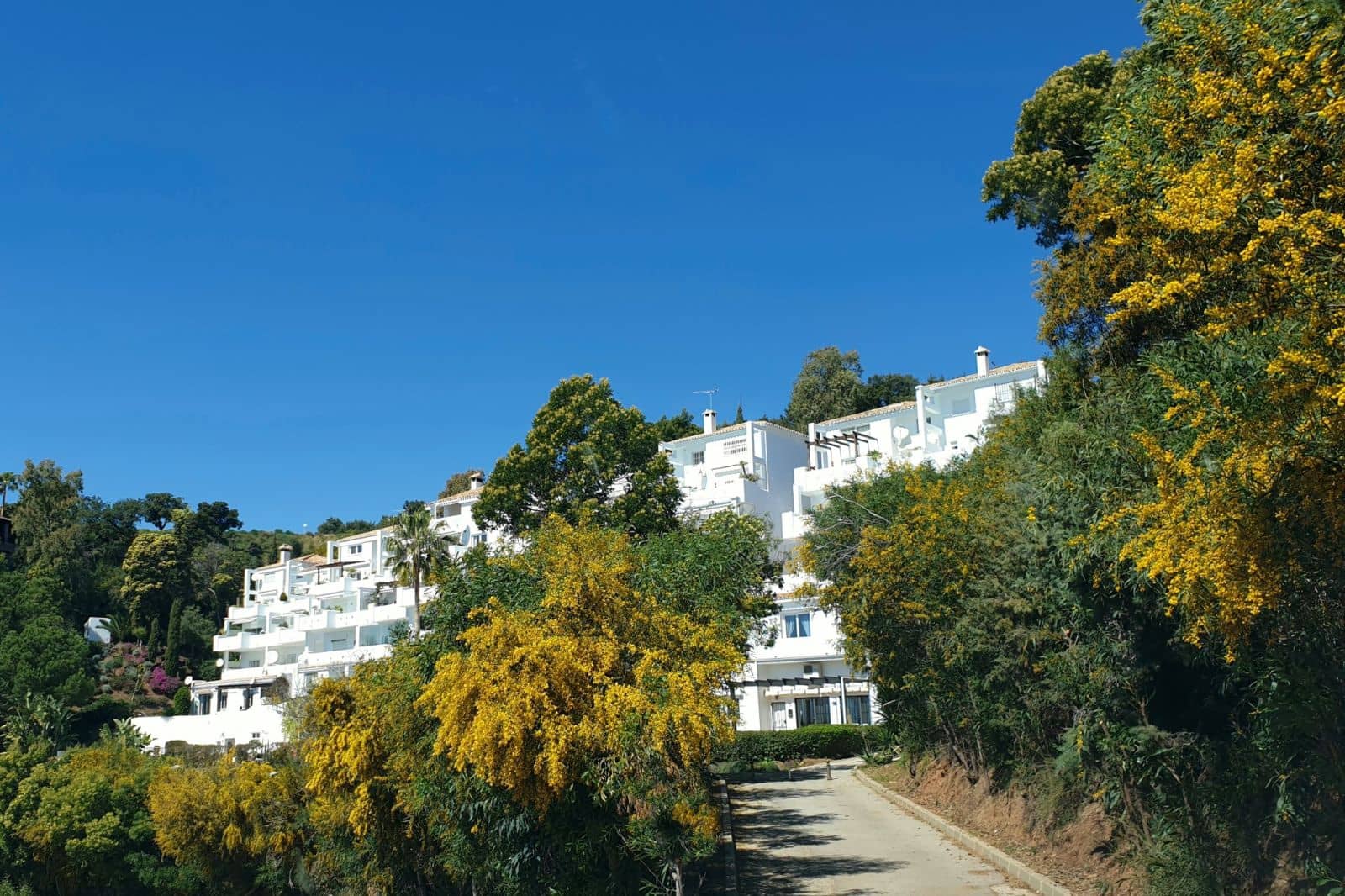 Apartamento de 3 habitaciones en La Mairena en venta - 419.000 € (Ref: 9568381)