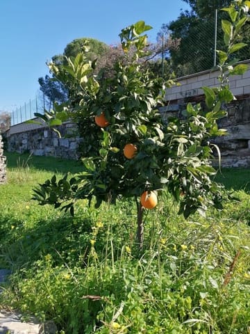 4 makuuhuone Huvila myytävänä paikassa Selwo, Estepona - 2 500 000 € (Ref: 9607648)