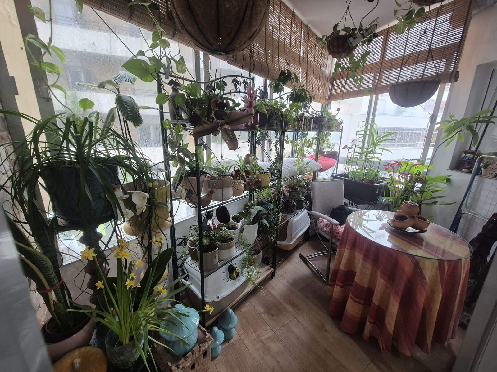 2 bedroom Apartment for sale in Marbella - € 620,000 (Ref: 9607675)