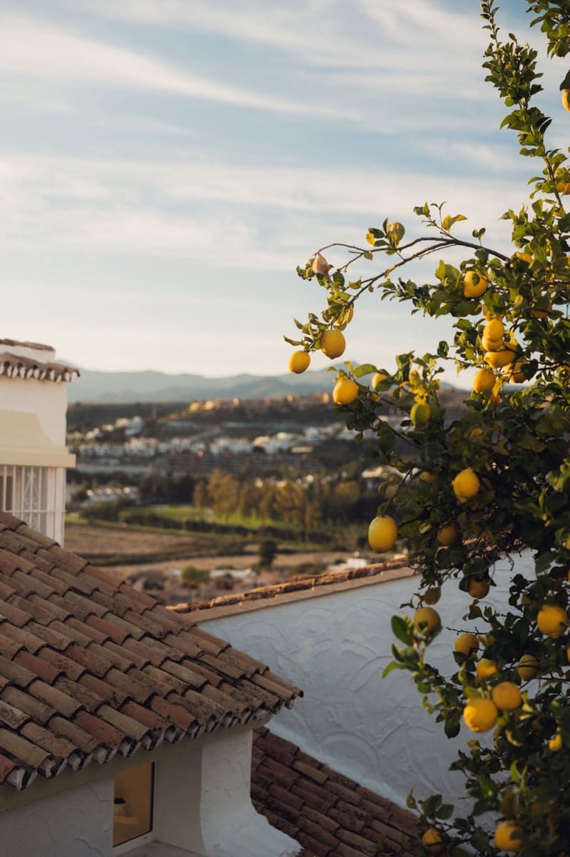 2 quarto Casa em Banda para venda em Atalaya-Isdabe - 525 000 € (Ref: 9607755)