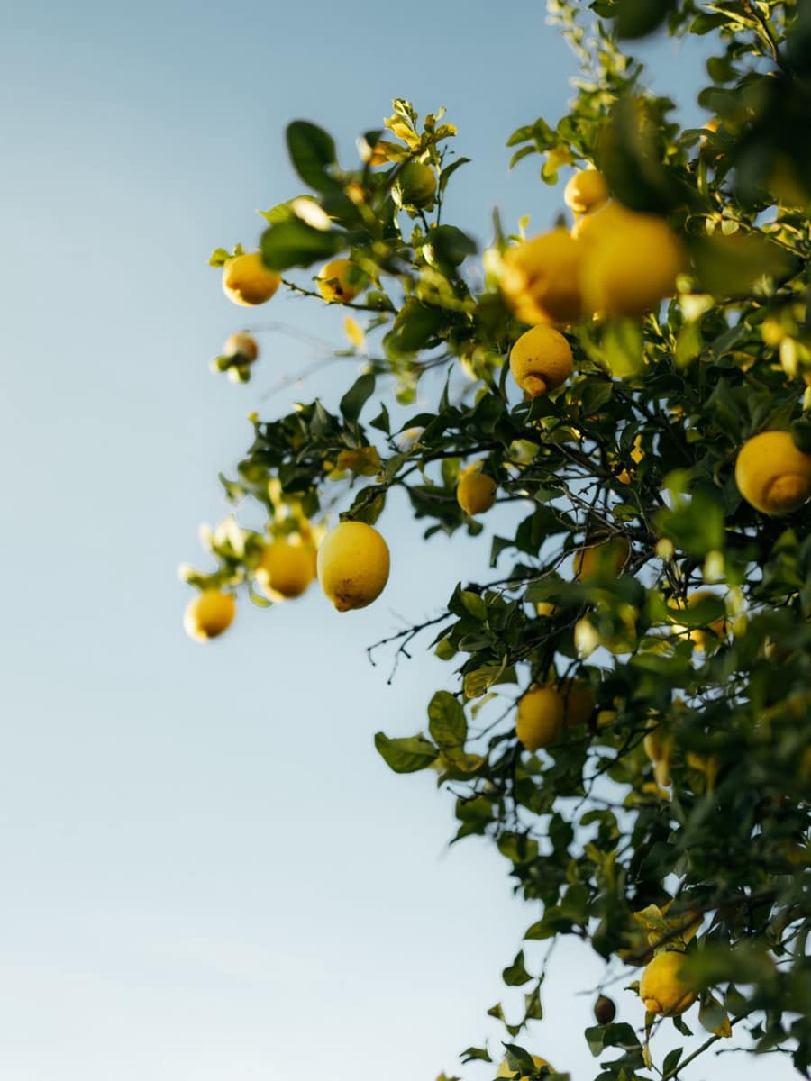 2 quarto Casa em Banda para venda em Atalaya-Isdabe - 525 000 € (Ref: 9607755)