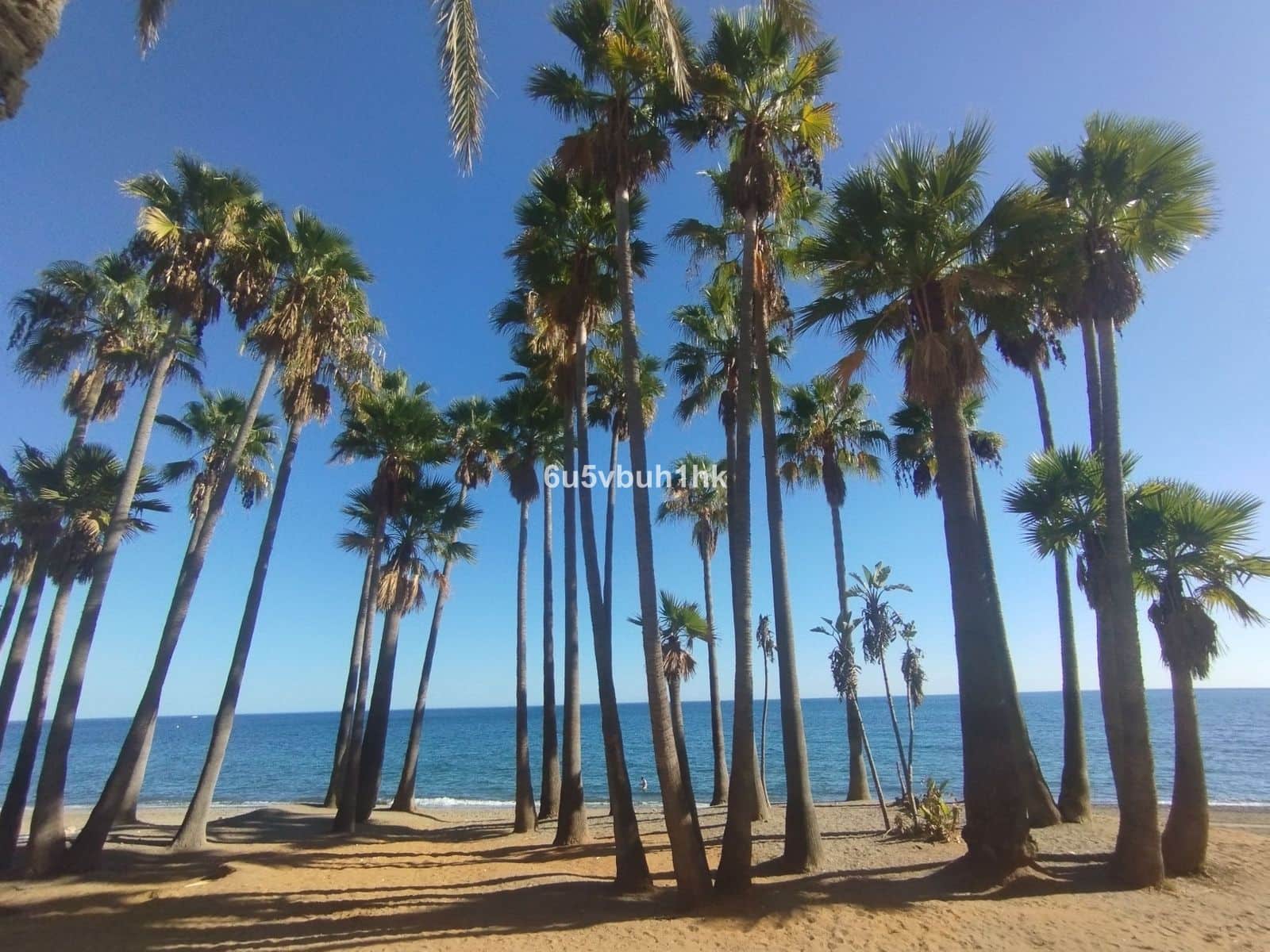 3 sypialnia Apartament na sprzedaż w San Pedro de Alcantara - 769 000 € (Ref: 9607776)