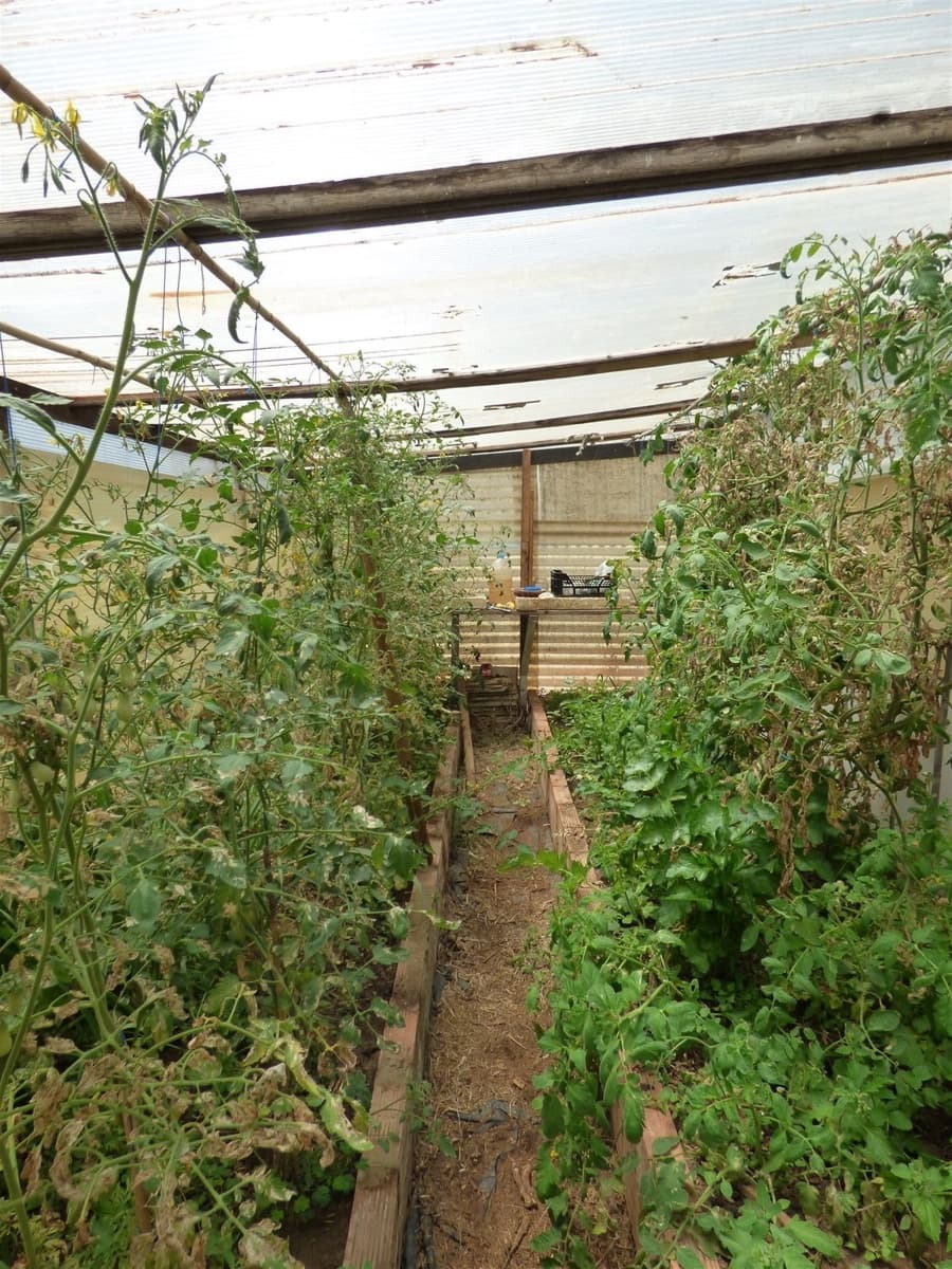 Finca/Casa Rural de 6 habitaciones en Mijas Costa en venta - 370.000 € (Ref: 9607869)