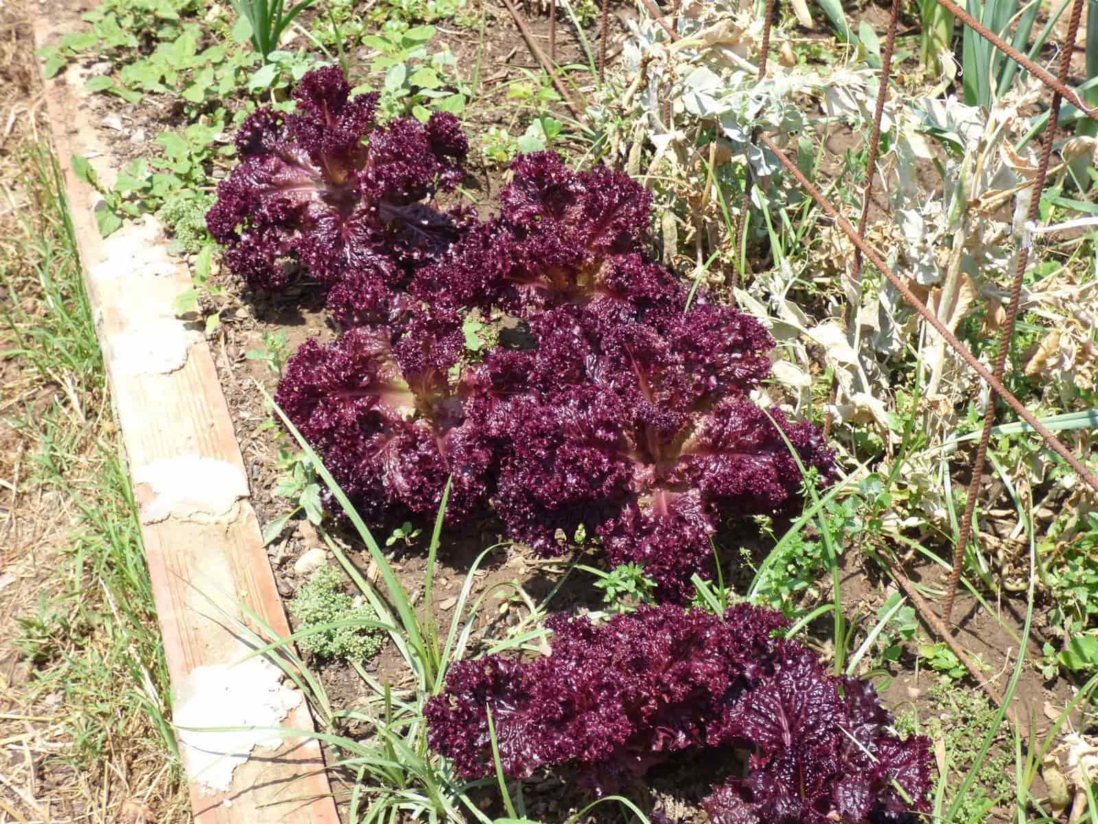 Finca/Casa Rural de 6 habitaciones en Mijas Costa en venta - 370.000 € (Ref: 9607869)