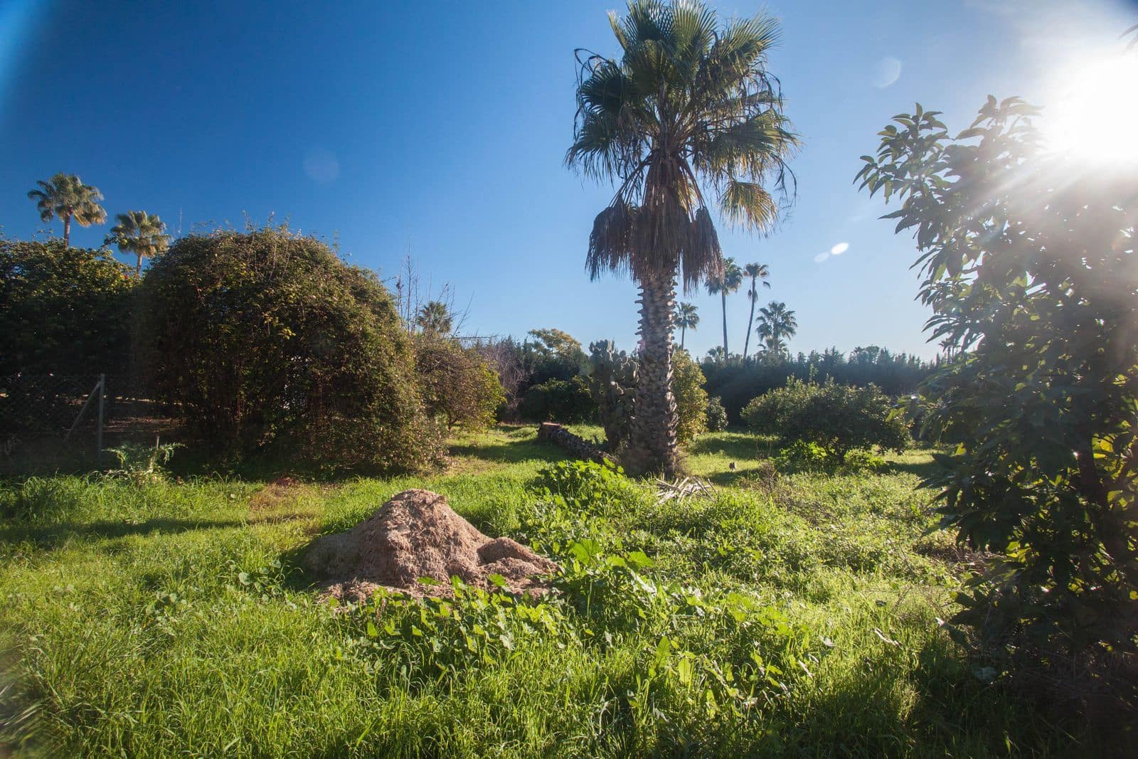 Finca/Casa Rural de 3 habitaciones en Estepona en venta - 878.000 € (Ref: 9607880)