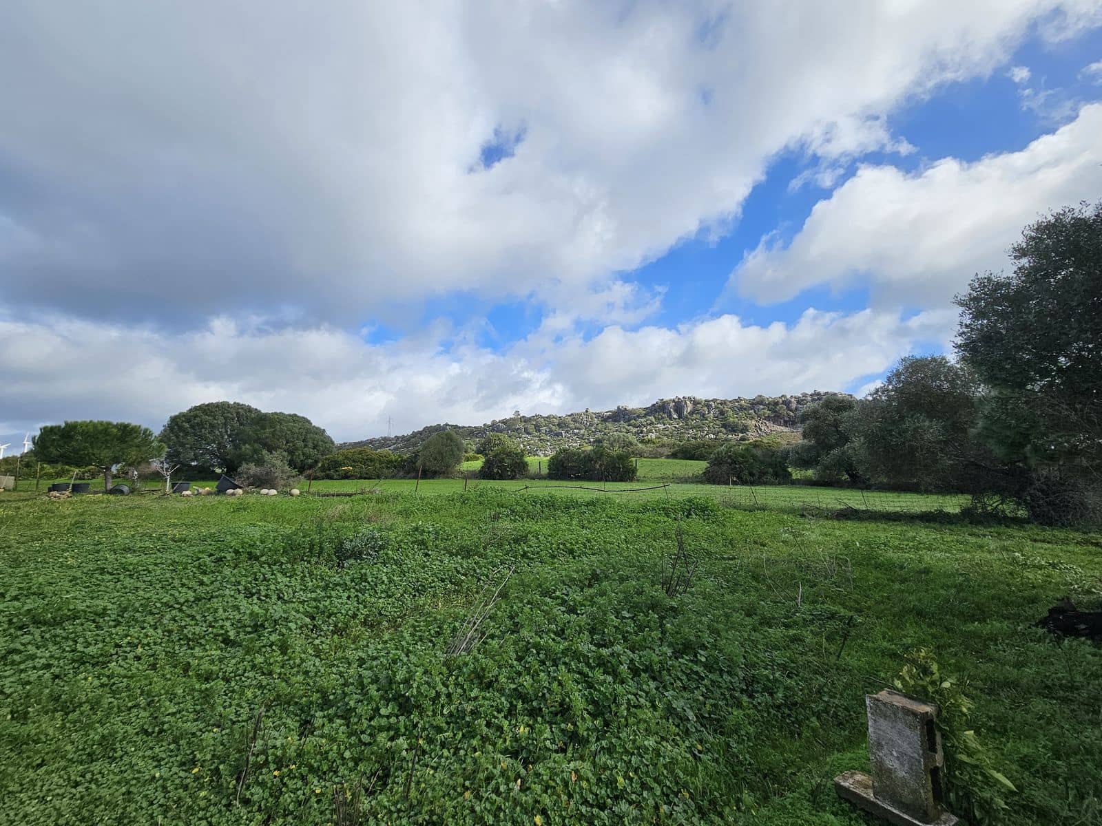 2 chambre Bungalow à vendre à Casares - 395 000 € (Ref: 9611191)