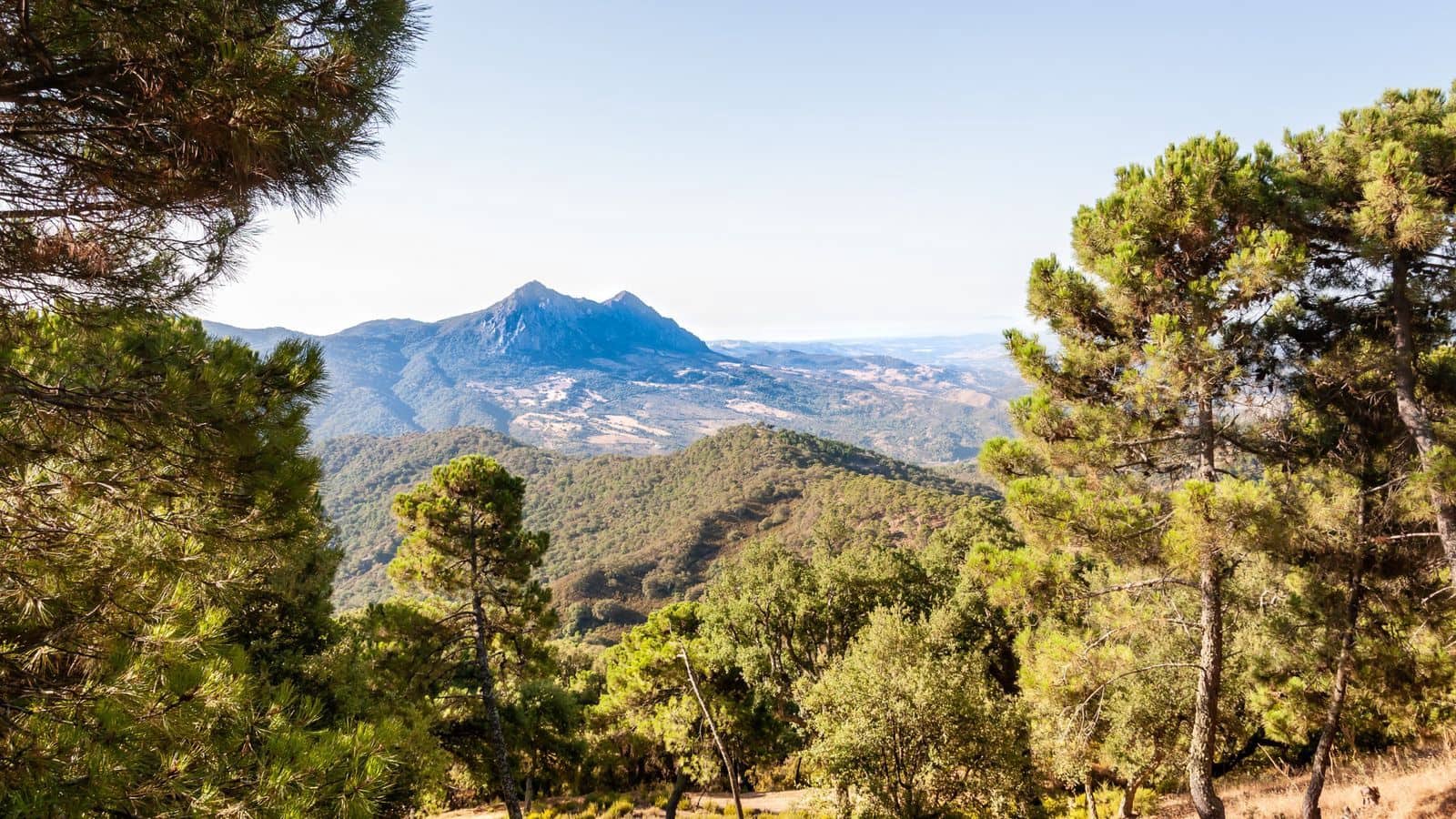 4 soverom Hus til salgs i Casares - € 650 000 (Ref: 9651471)