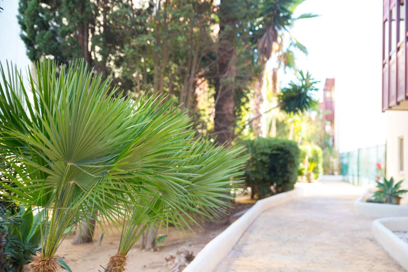 Apartamento de 2 habitaciones en La Duquesa / Puerto de la Duquesa en venta - 250.000 € (Ref: 9677167)