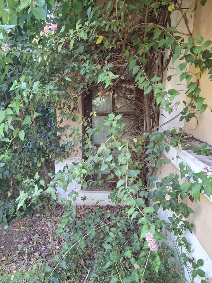 5 soveværelse Villa til salg i Estepona - € 1.400.000 (Ref: 9677297)