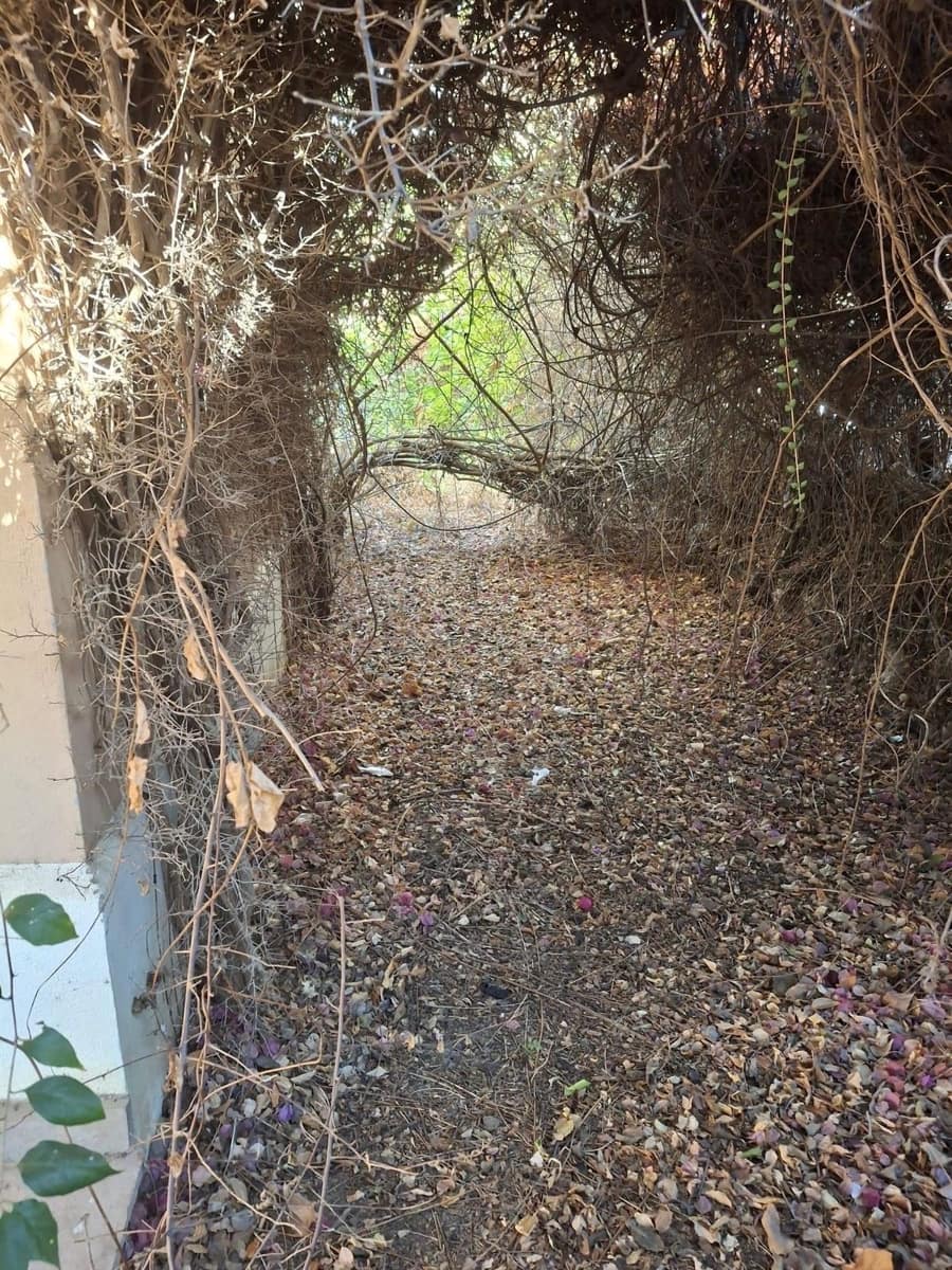 5 soveværelse Villa til salg i Estepona - € 1.400.000 (Ref: 9677297)