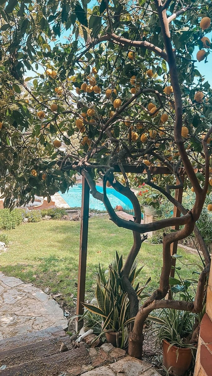 5 Zimmer Villa zu verkaufen in Nueva Andalucia - 1.600.000 € (Ref: 9738672)