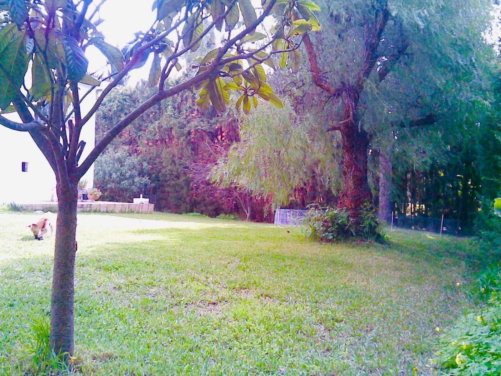 3 soveværelse Villa til salg i El Paraiso - € 920.000 (Ref: 9738697)