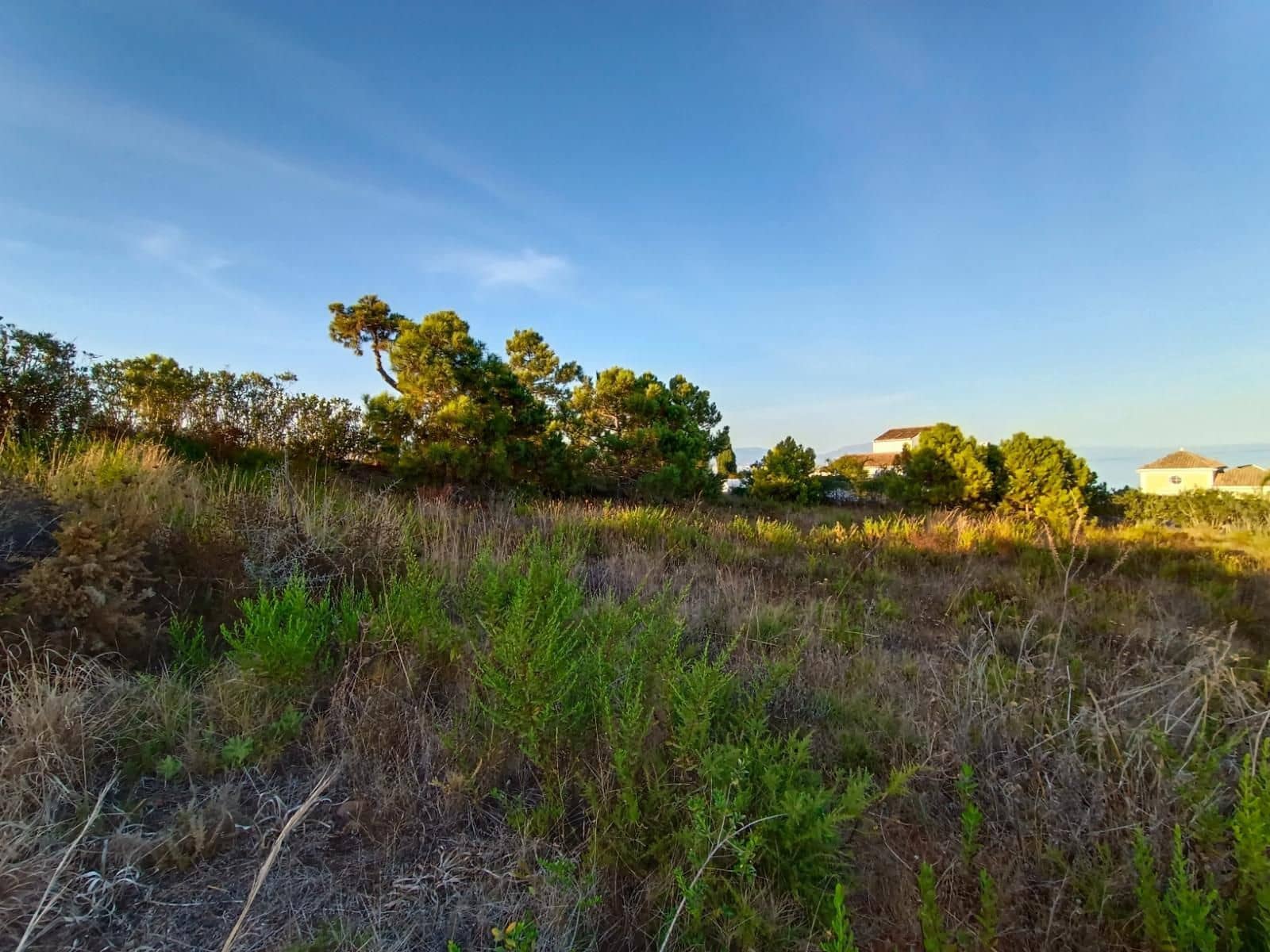 Building Plot for sale in Manilva - € 780,000 (Ref: 9738747)