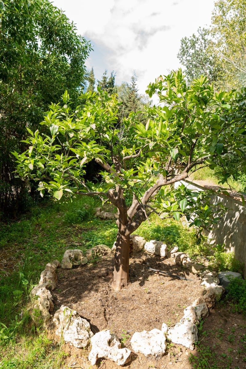 Chalet de 4 habitaciones en Elviria en venta - 1.600.000 € (Ref: 9738764)