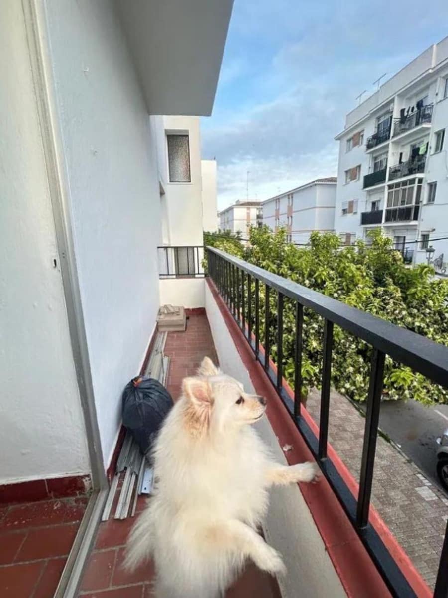 3 makuuhuone Huoneisto myytävänä paikassa Estepona - 339 000 € (Ref: 9738796)