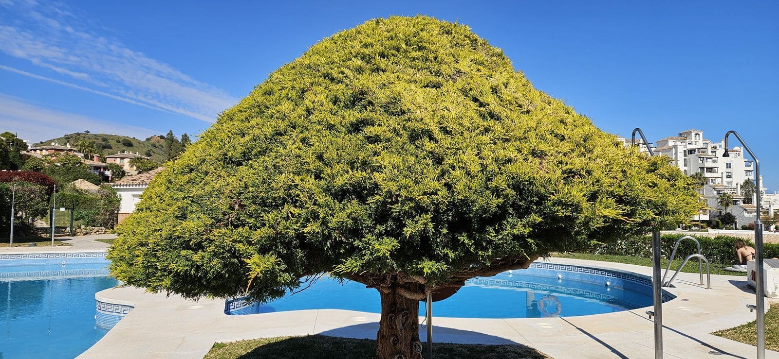 2 quarto Casa em Banda para venda em Calahonda - 549 000 € (Ref: 9738809)