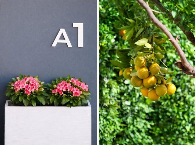 3 sypialnia Dom blizniak na sprzedaż w La Cala de Mijas, Mijas - 1 048 000 € (Ref: 9738851)