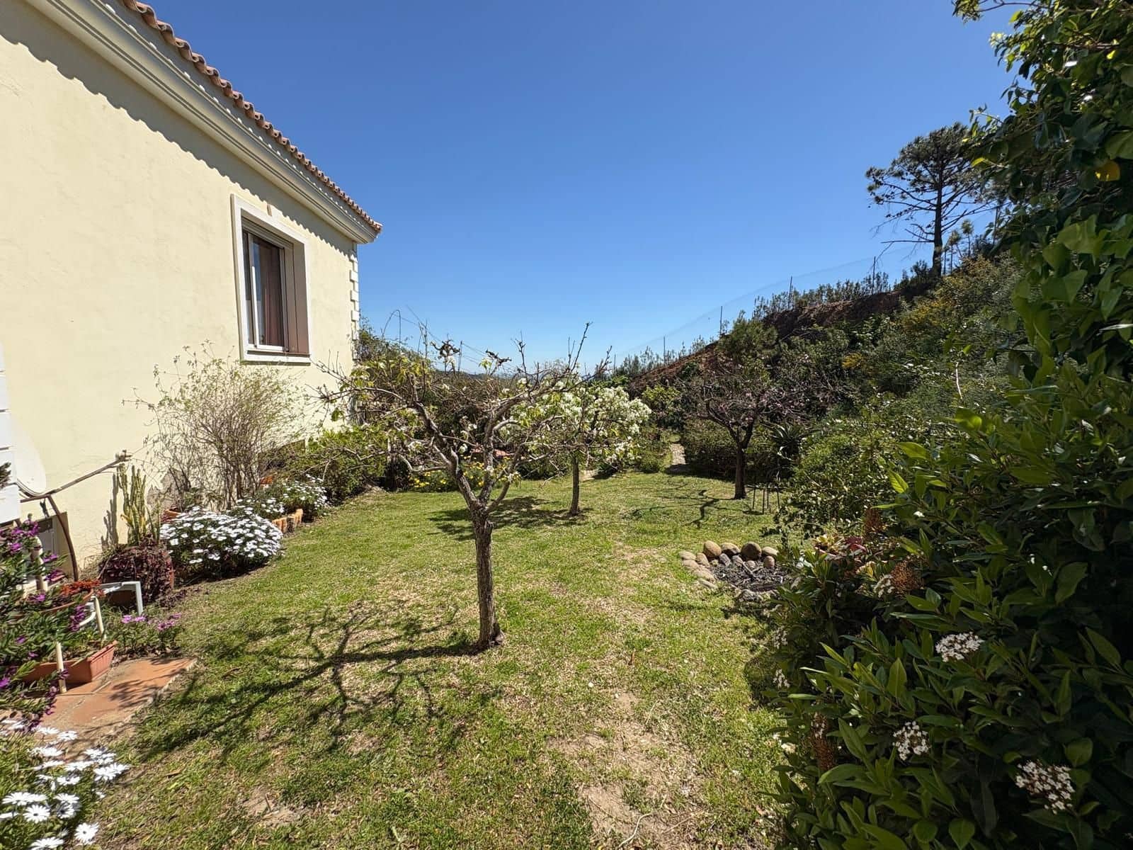 7 quarto Moradia para venda em Estepona - 2 300 000 € (Ref: 9738914)