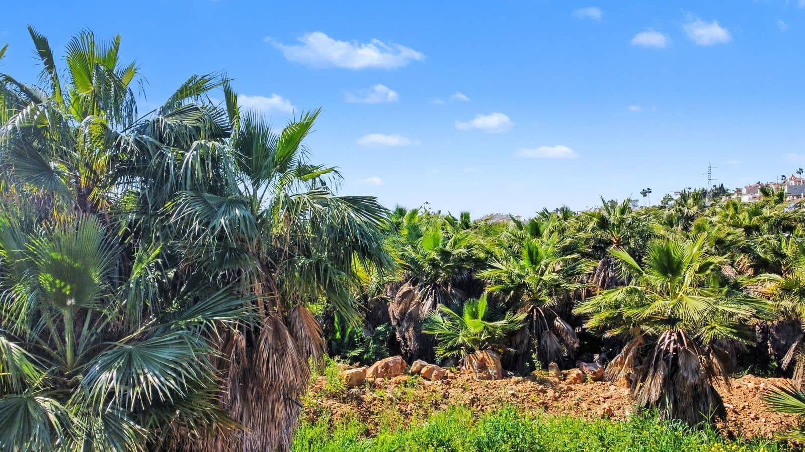 Terrain à Bâtir à vendre à El Paraiso - 1 850 000 € (Ref: 9738918)