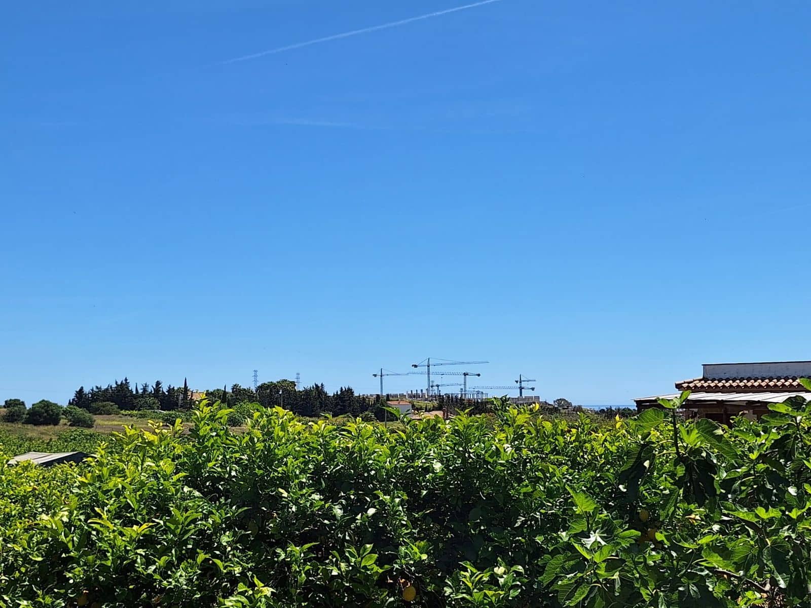 Finca/Casa Rural de 3 habitaciones en Estepona en venta - 700.000 € (Ref: 9784873)