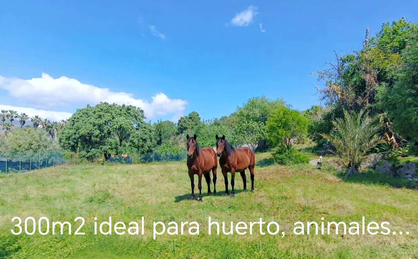 5 sypialnia Willa na sprzedaż w Estepona - 1 667 000 € (Ref: 9796296)