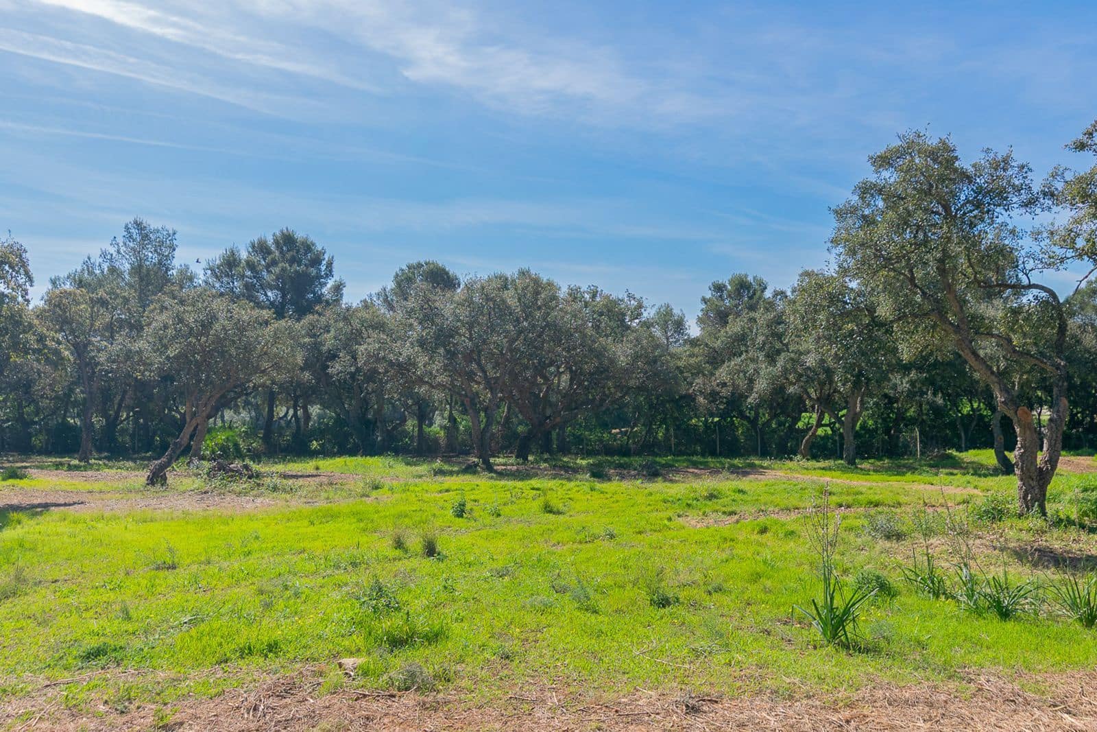Terreno para Construção para venda em Sotogrande - 2 000 000 € (Ref: 9796343)