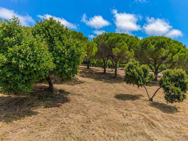 Terreno para Construção para venda em Sotogrande, San Roque - 2 000 000 € (Ref: 9796343)