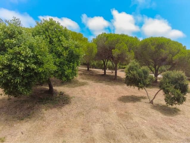 Terreno para Construção para venda em Sotogrande, San Roque - 2 000 000 € (Ref: 9796343)