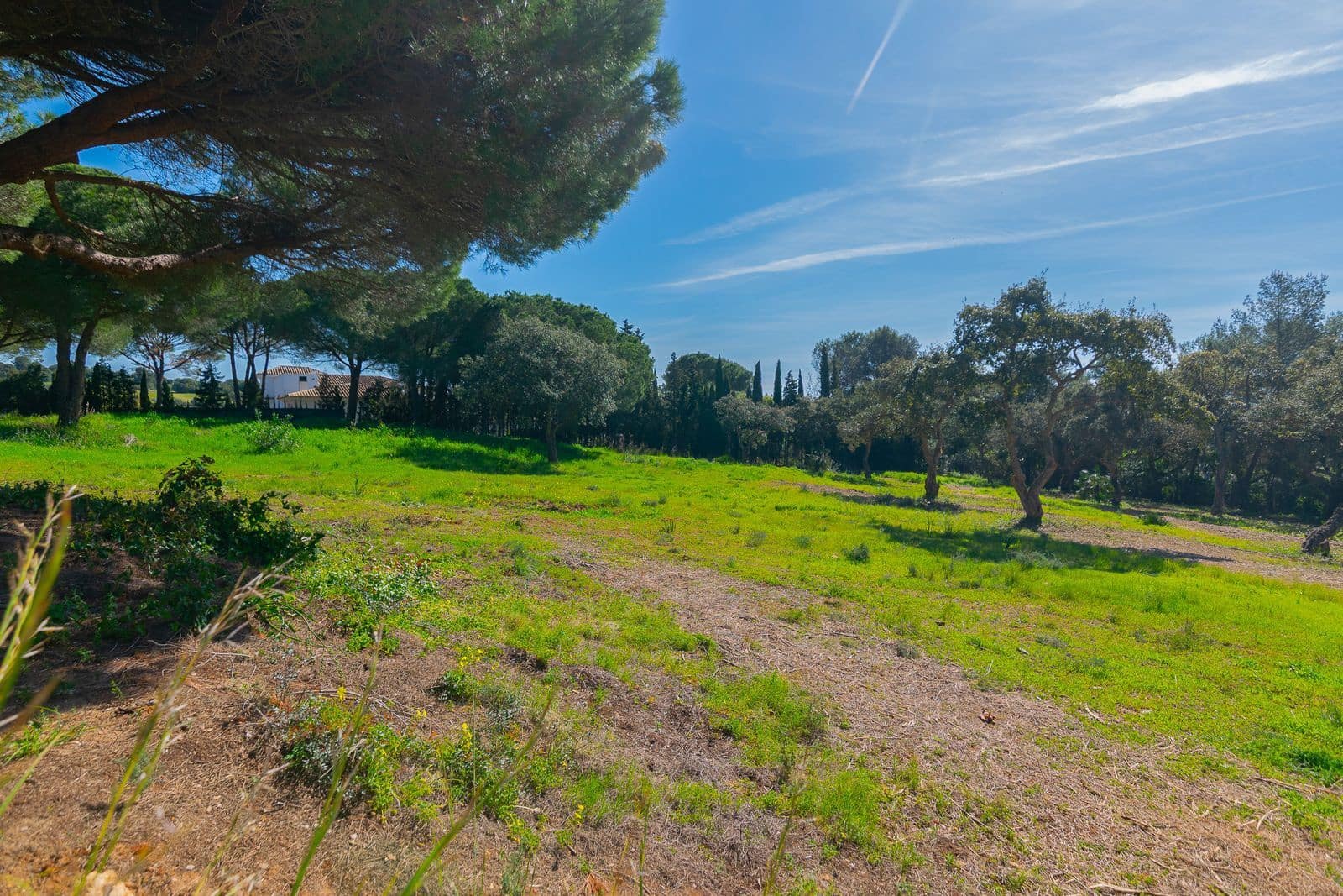 Terreno para Construção para venda em Sotogrande - 2 000 000 € (Ref: 9796343)