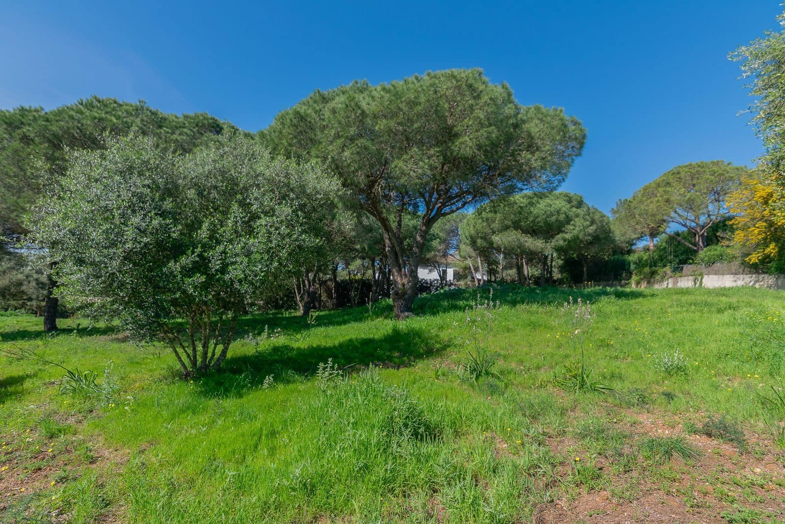 Terreno para Construção para venda em Sotogrande - 2 000 000 € (Ref: 9796343)