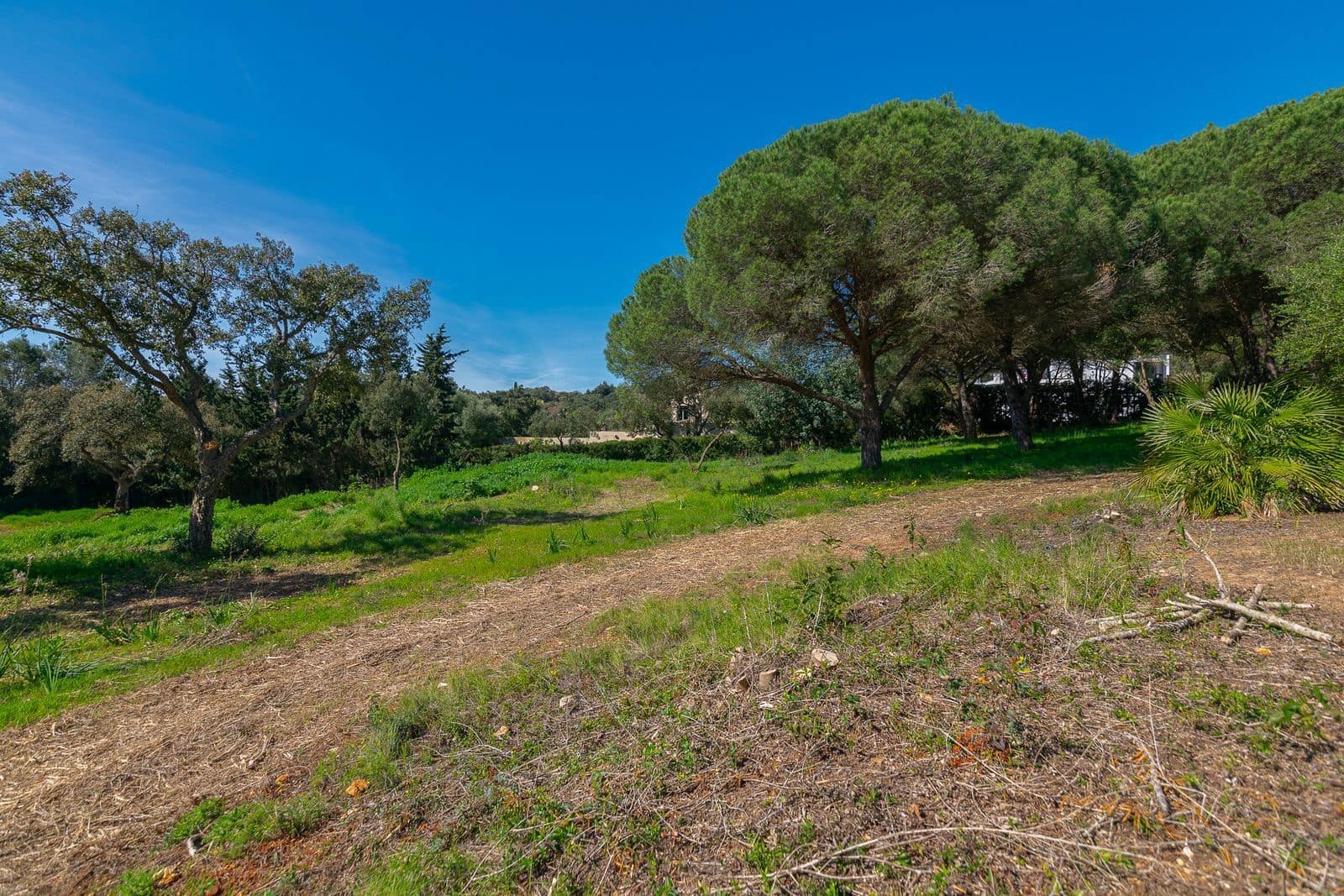 Terreno para Construção para venda em Sotogrande - 2 000 000 € (Ref: 9796343)