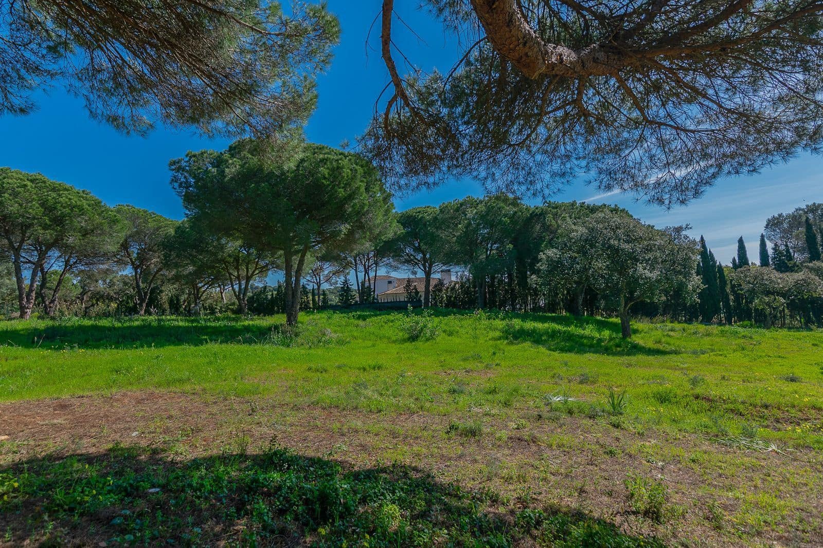 Terreno para Construção para venda em Sotogrande - 2 000 000 € (Ref: 9796343)