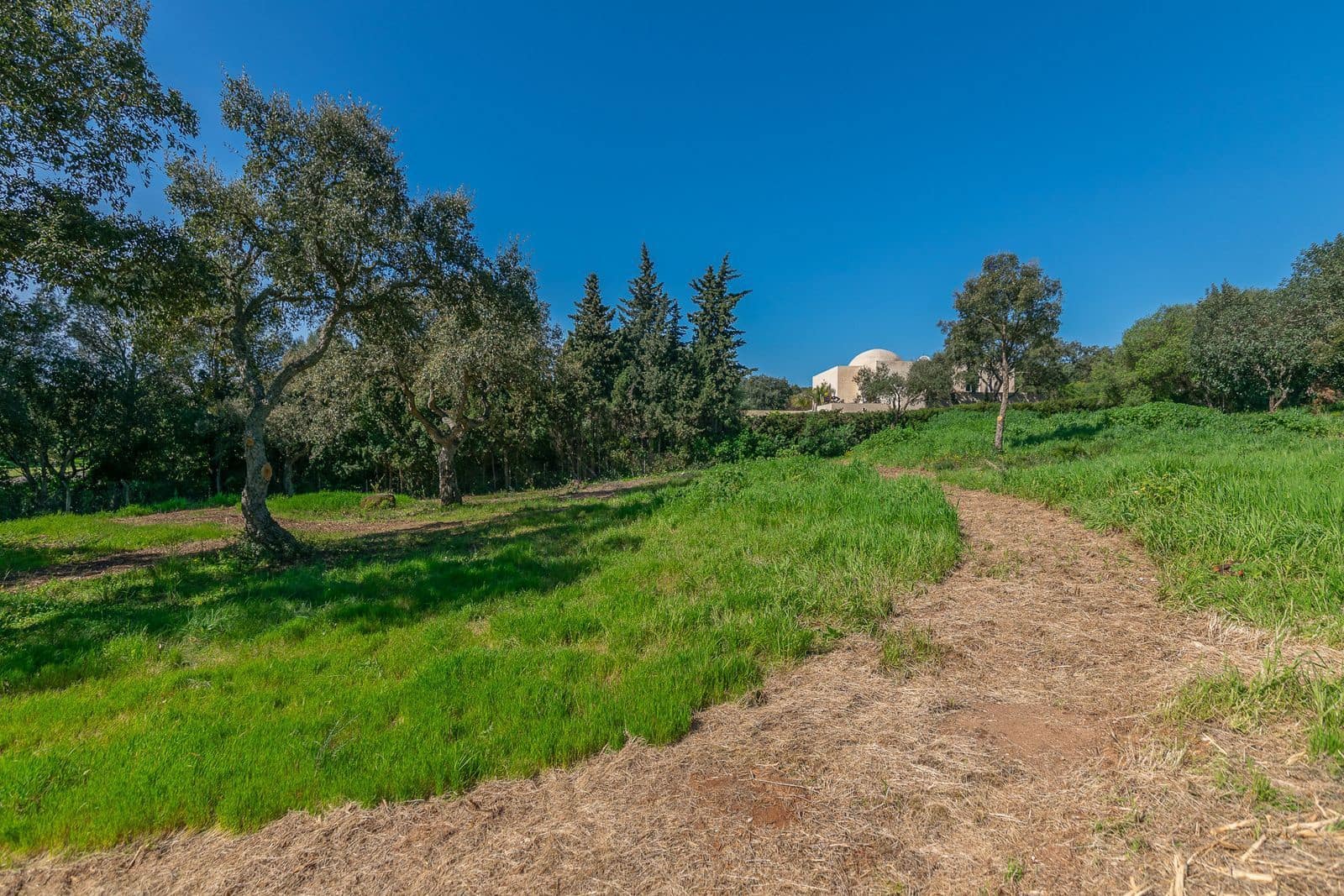 Terreno para Construção para venda em Sotogrande - 2 000 000 € (Ref: 9796343)