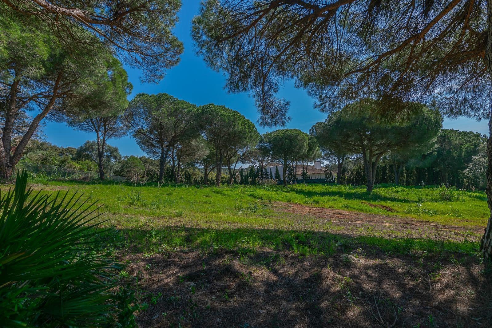 Terreno para Construção para venda em Sotogrande - 2 000 000 € (Ref: 9796343)
