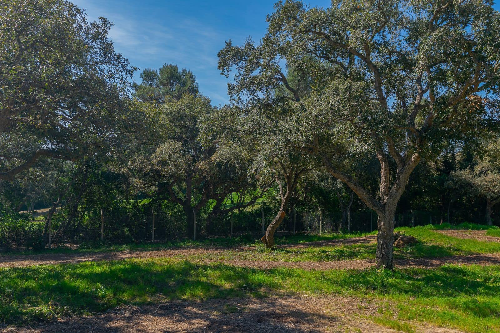 Terreno para Construção para venda em Sotogrande - 2 000 000 € (Ref: 9796343)