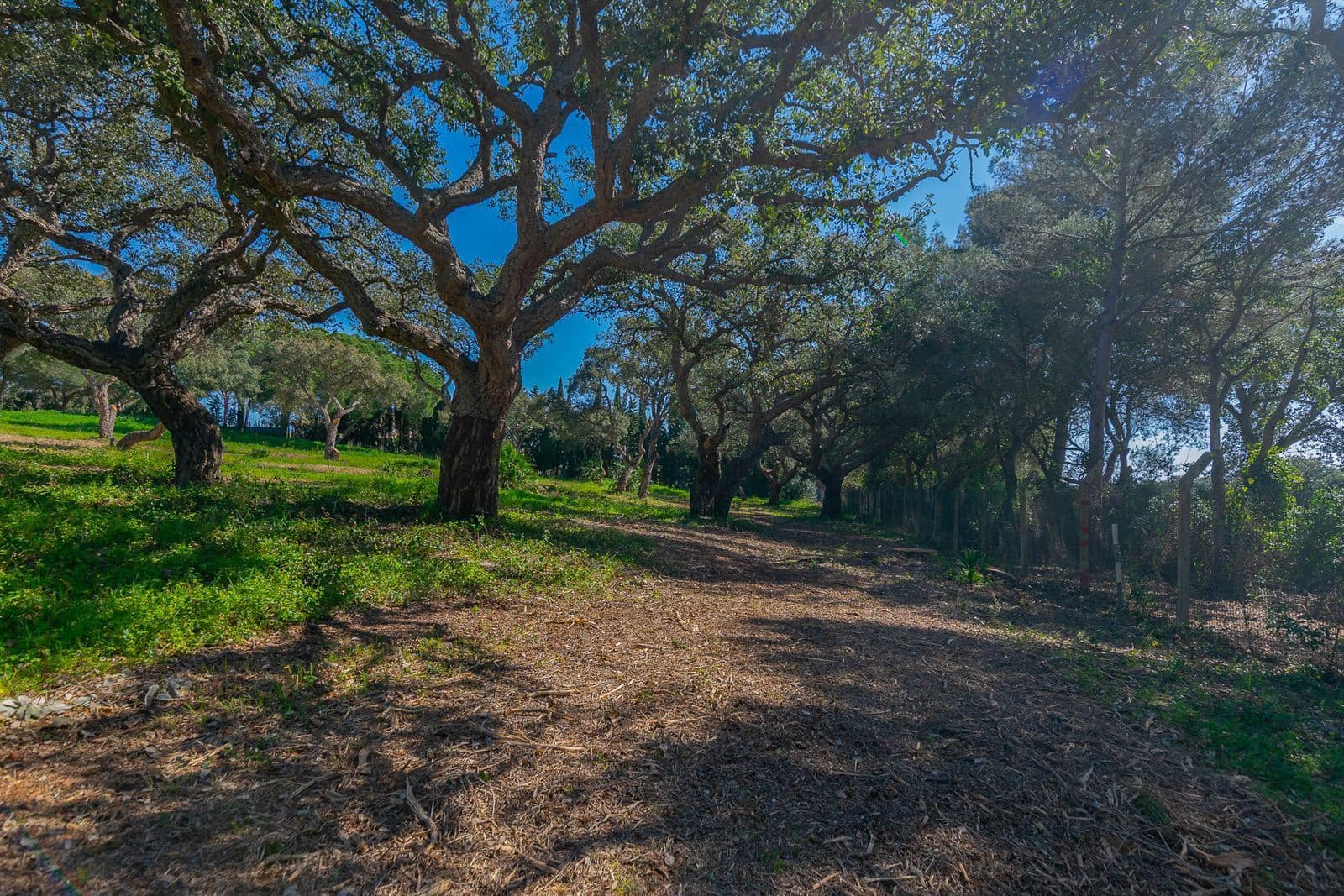 Terreno para Construção para venda em Sotogrande - 2 000 000 € (Ref: 9796343)
