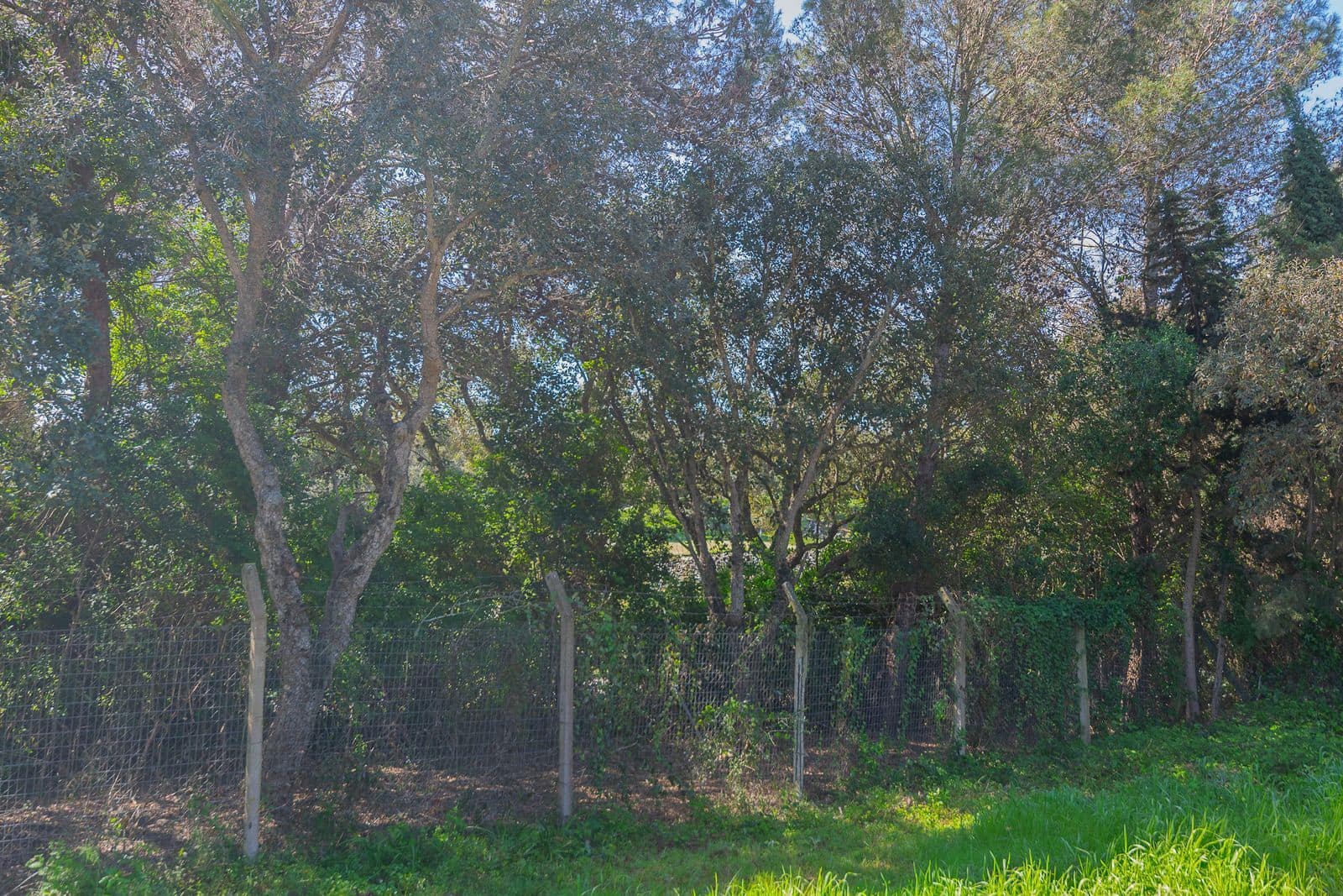 Terreno para Construção para venda em Sotogrande - 2 000 000 € (Ref: 9796343)