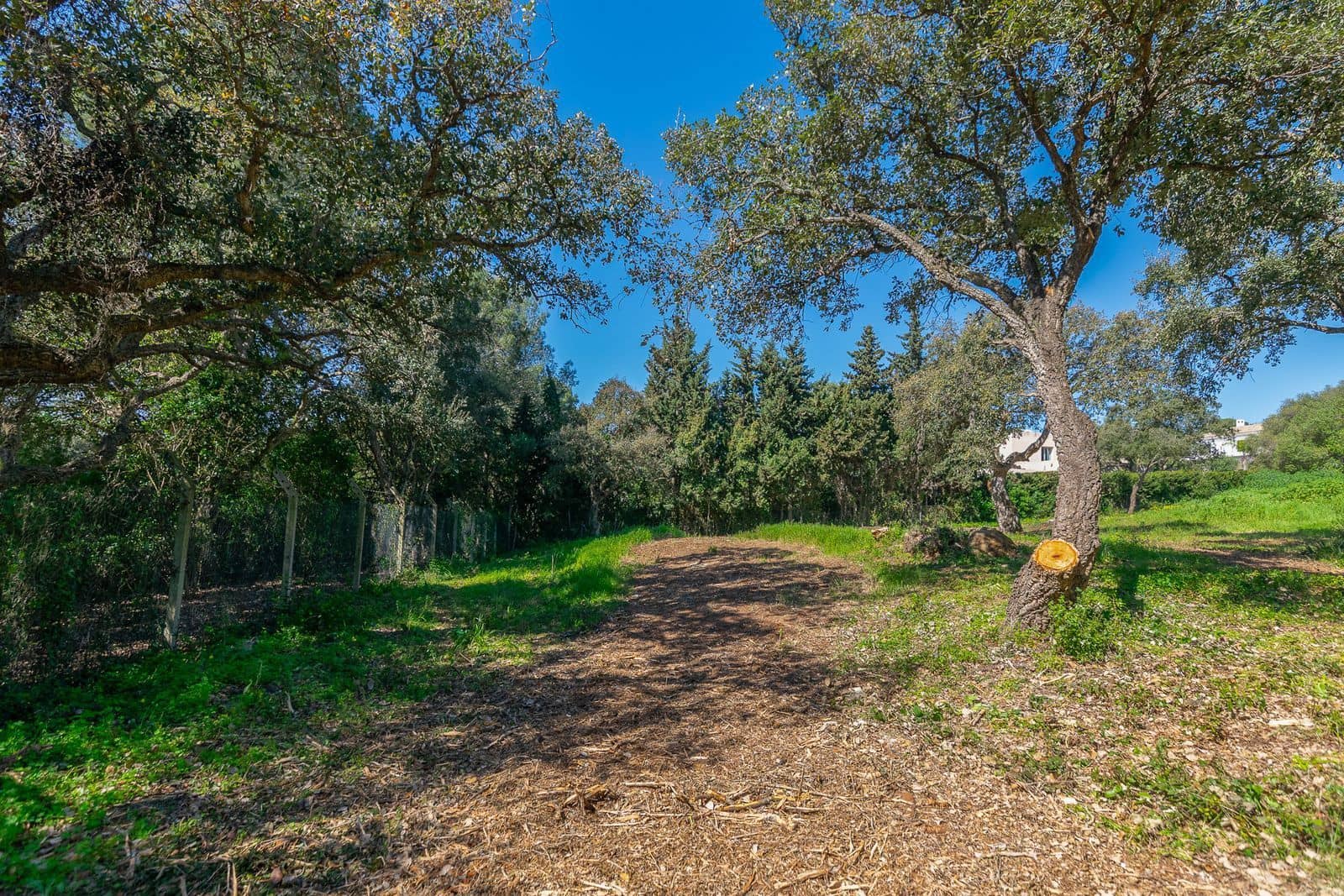 Terreno para Construção para venda em Sotogrande - 2 000 000 € (Ref: 9796343)