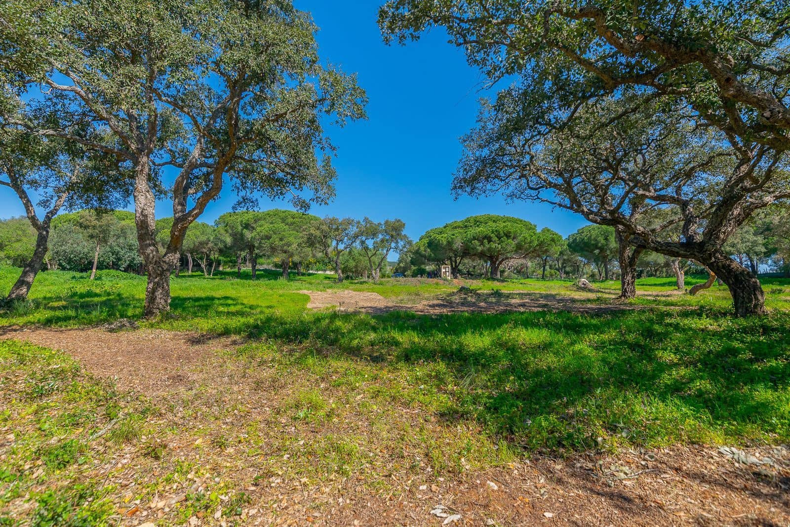 Terreno para Construção para venda em Sotogrande - 2 000 000 € (Ref: 9796343)