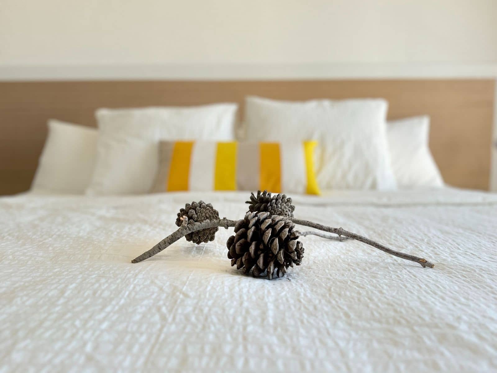 1 camera da letto Attico in vendita in Benalmadena - 355.000 € (Rif: 9796367)