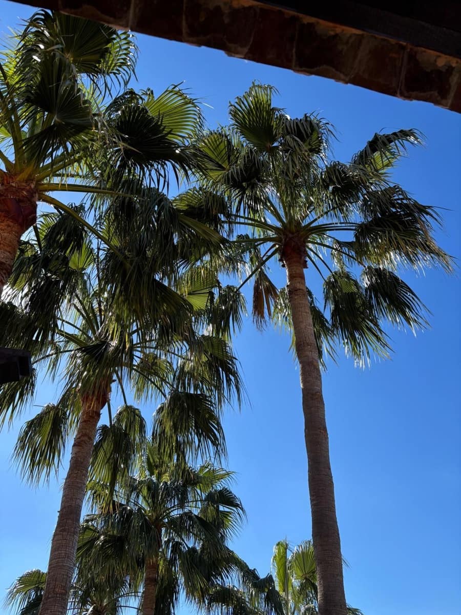 3 soveværelse Penthouse til salg i Marbella - € 895.000 (Ref: 9796485)