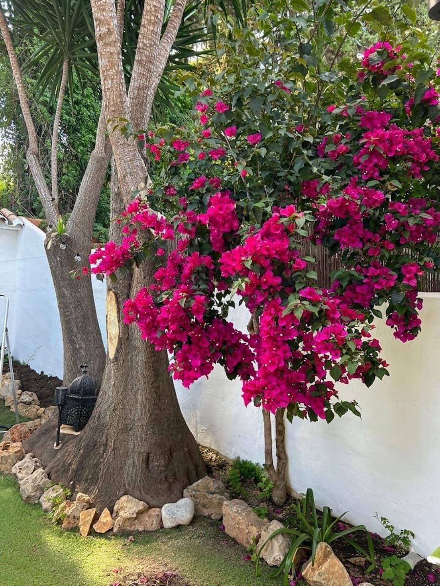 3 soveværelse Byhus til salg i Nueva Andalucia - € 656.500 (Ref: 9812041)