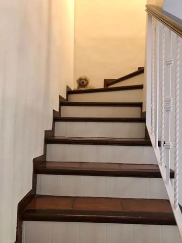 3 makuuhuone Omakotitalo myytävänä paikassa Guadalmina Baja, Marbella - 775 000 € (Ref: 9812073)