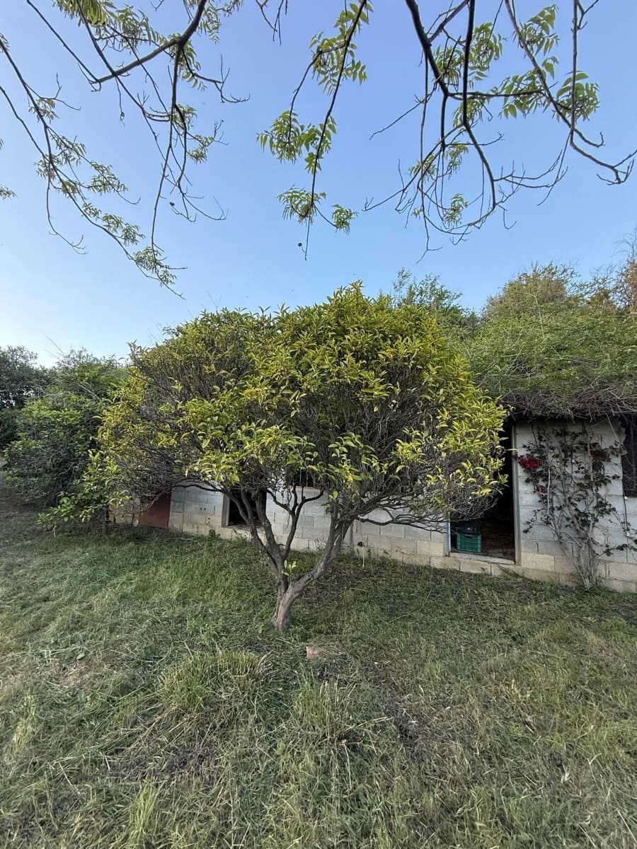3 sypialnia Willa na sprzedaż w El Velerin - 875 000 € (Ref: 9812076)