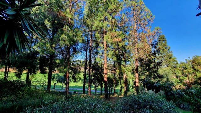 2 soverom Leilighet til salgs i Torrequebrada, Benalmádena - € 399 000 (Ref: 9830984)