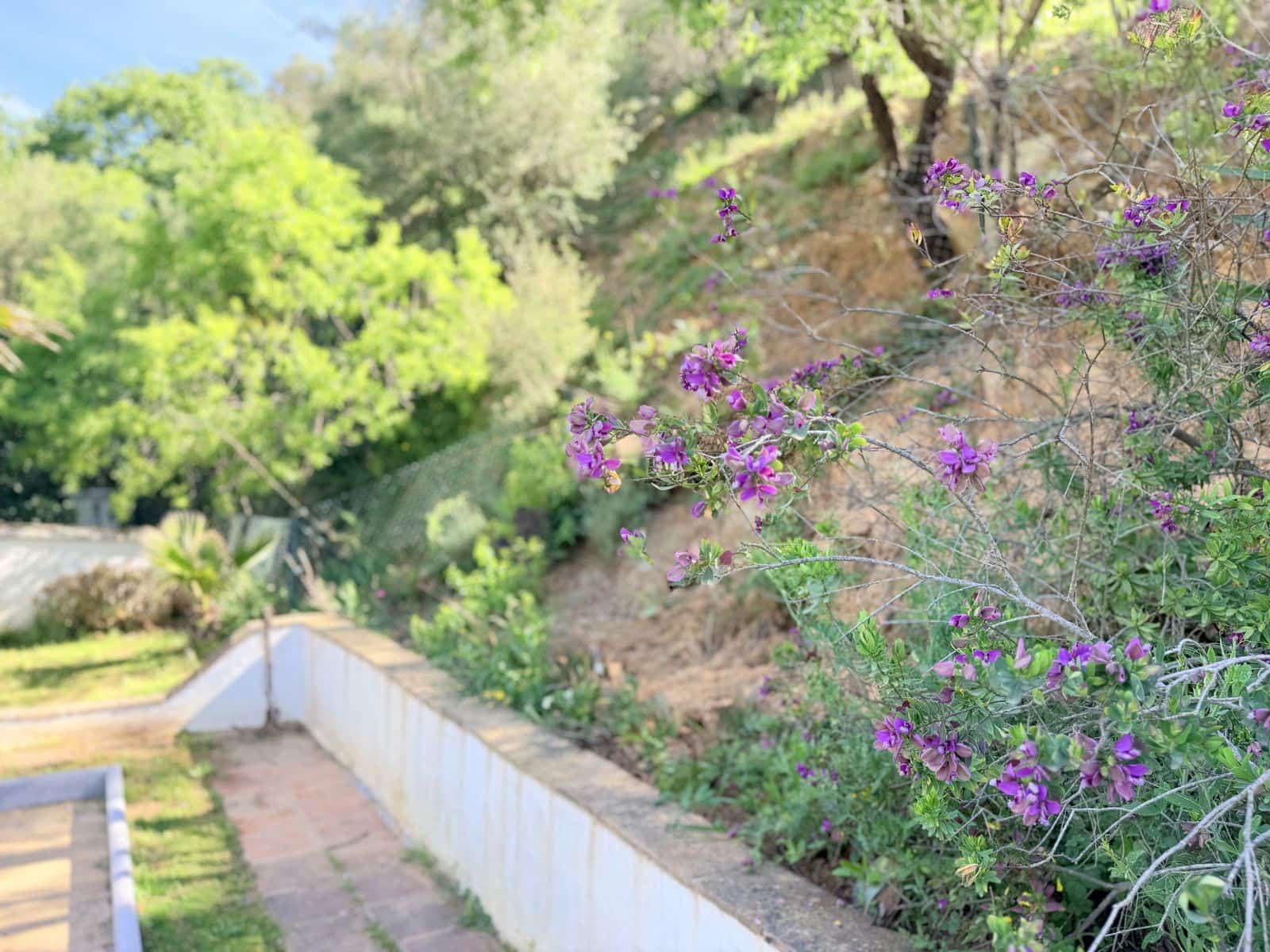 4 Zimmer Finca/Landgut zu verkaufen in Casares - 775.000 € (Ref: 9831057)