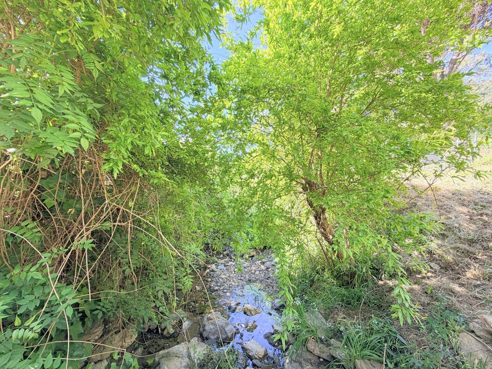 4 Zimmer Finca/Landgut zu verkaufen in Casares - 775.000 € (Ref: 9831057)