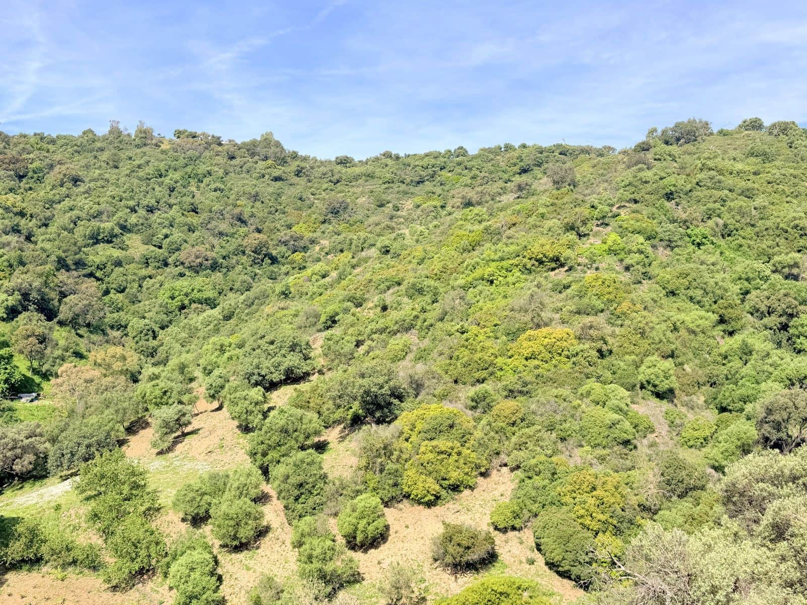 4 Zimmer Finca/Landgut zu verkaufen in Casares - 775.000 € (Ref: 9831057)