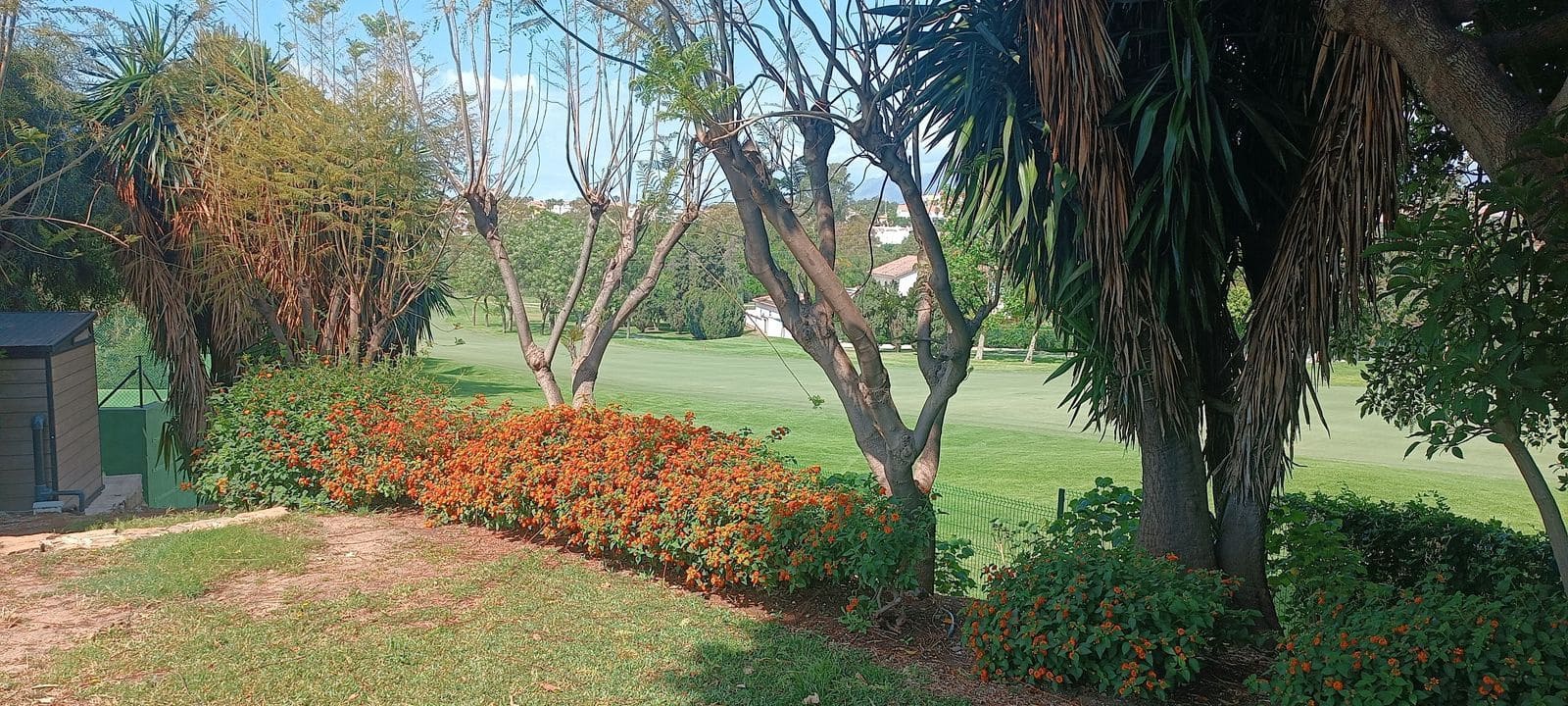 3 chambre Penthouse à vendre à Guadalmina - 600 000 € (Ref: 9831060)