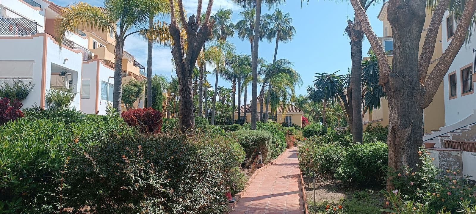 3 chambre Penthouse à vendre à Guadalmina - 600 000 € (Ref: 9831060)